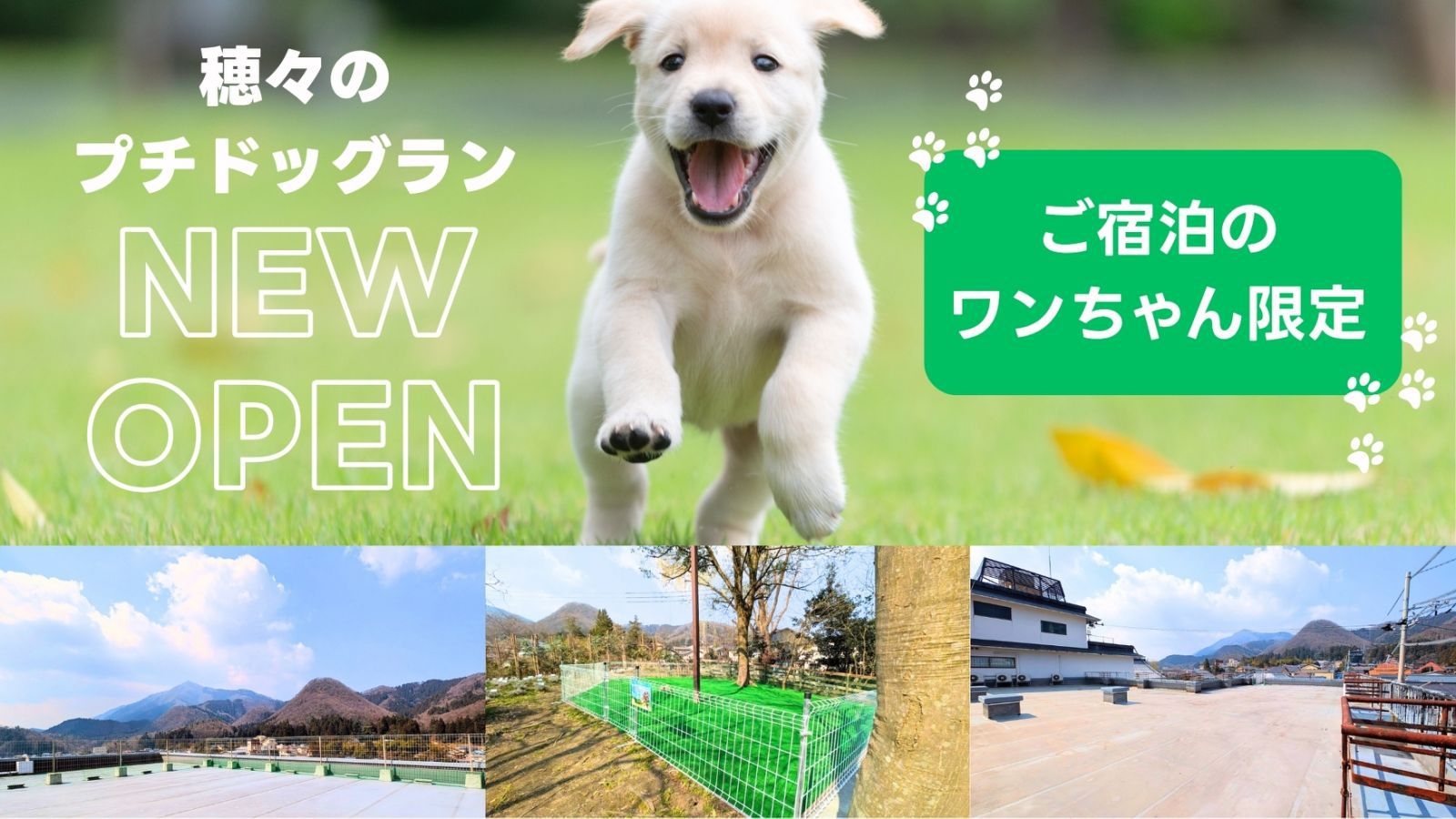 【ペット可】小型犬4匹、中型犬、大型犬1匹迄OK！無料ドッグラン有！お刺身・のど黒・鮑・新潟牛！