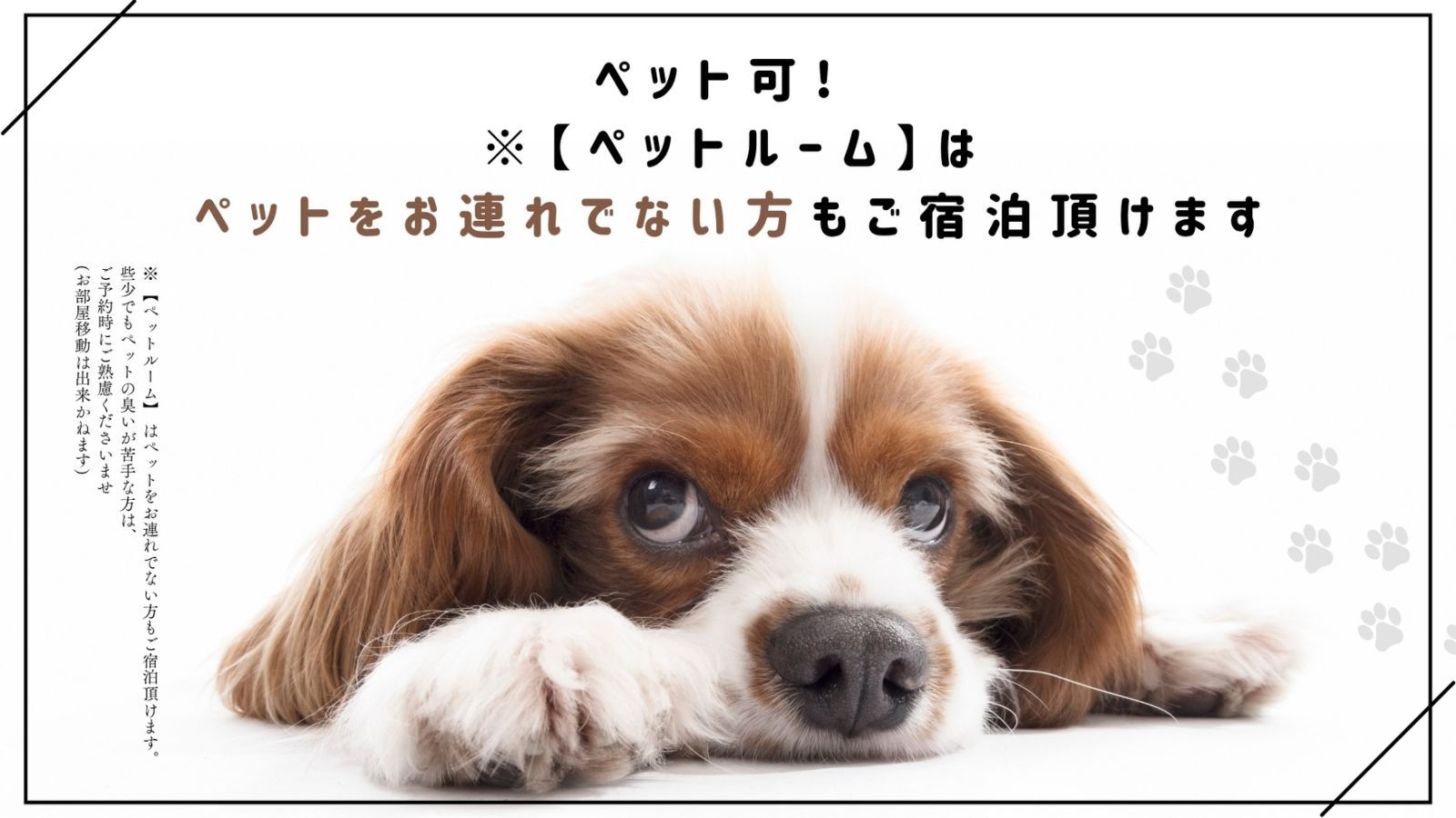 【ペット可】新潟のお酒飲み比べ＆夕飯食事処”寺泊風居酒屋”＆ドッグランオープン体験記念（朝食付）