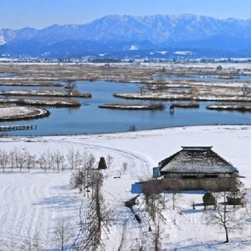 『日本一の野鳥の楽園 福島潟』≪当館より車で約60分≫