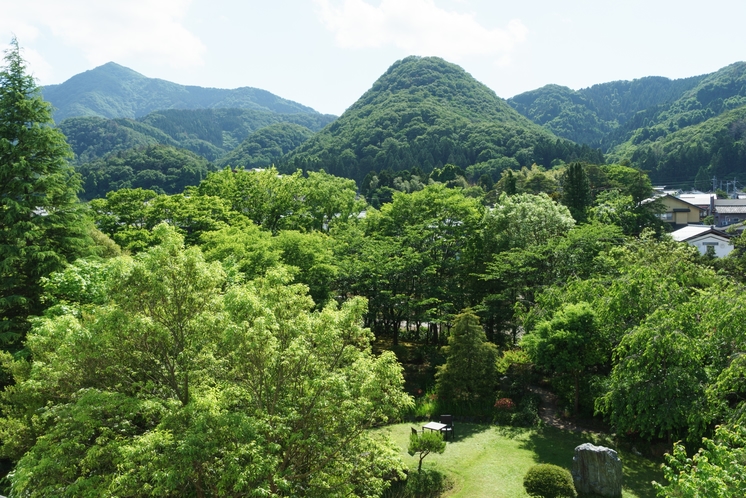 大広間からの景色。綺麗な三角の山は岩室富士とも呼ばれ、当館からが一番きれいに見えると言われています♪