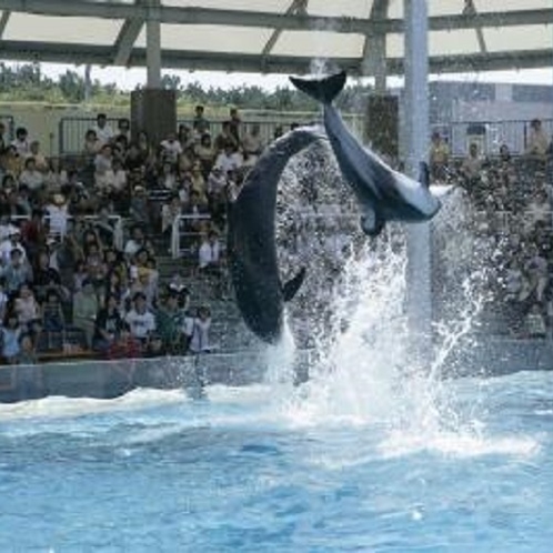 『新潟市水族館マリンピア』≪当館より車で約50分≫