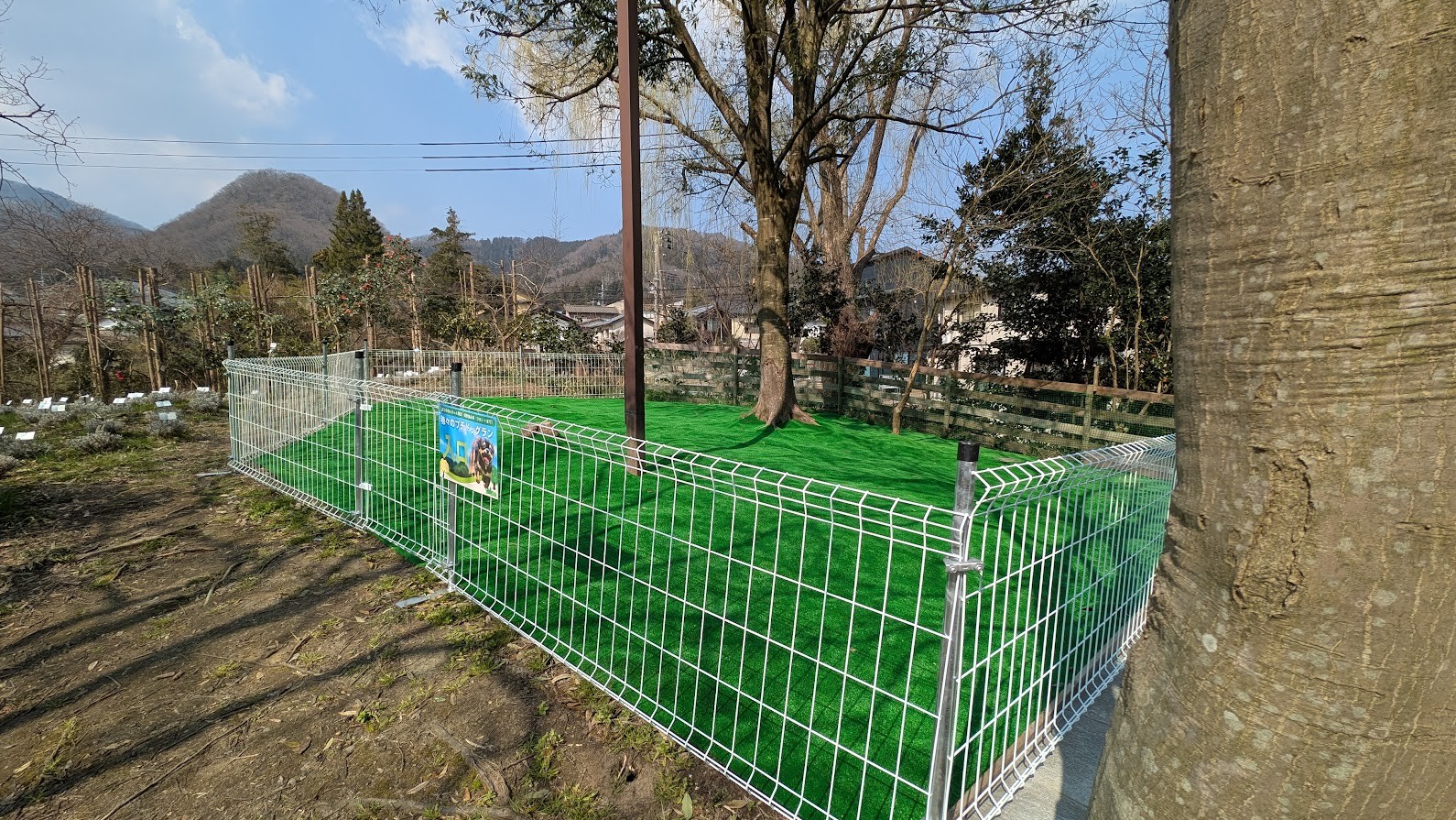 お庭でもドッグランを楽しめます♪