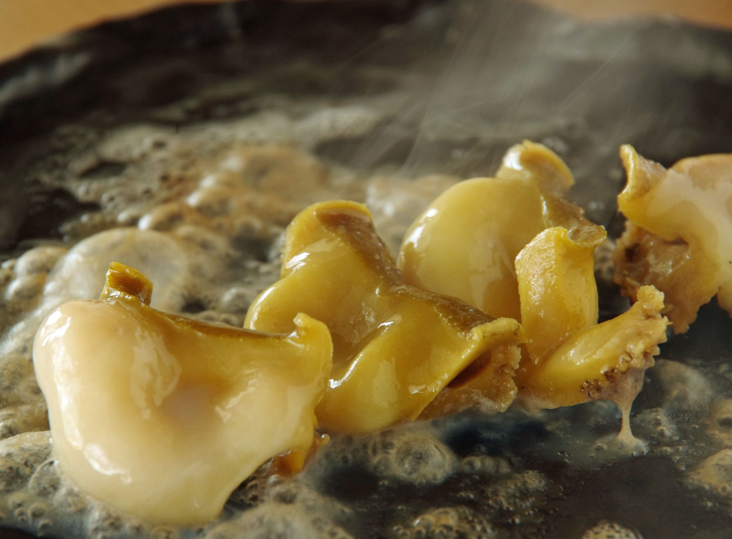 旨み溢れる高級食材「柔らかな地元親不知産あわび」