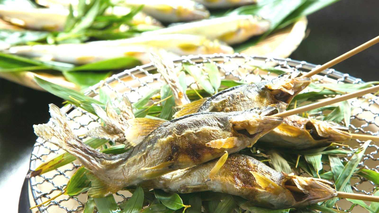 【料理一例】鮎の塩焼き。厚木は鮎の産地として知られ古来より将軍家に献上されるほど美味で有名です