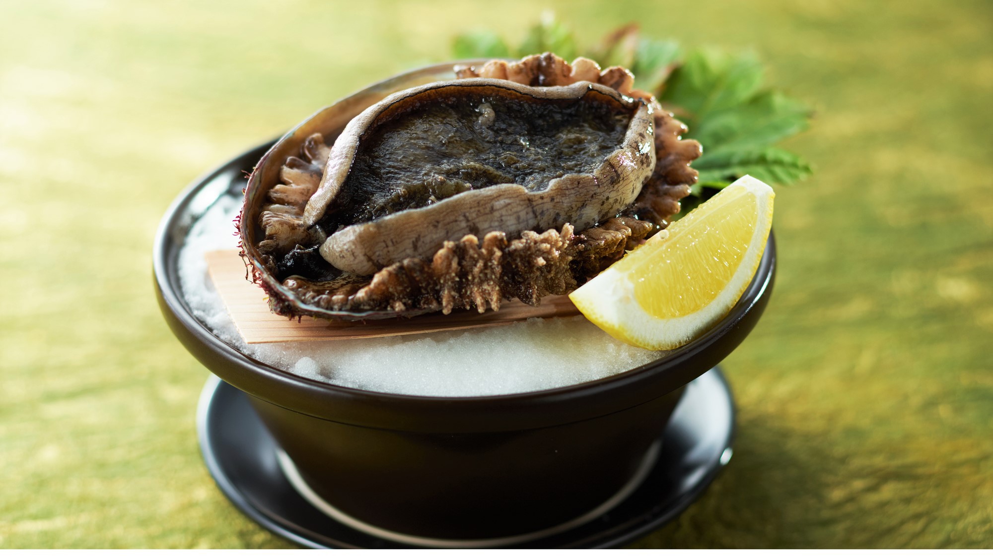 あわびイメージ