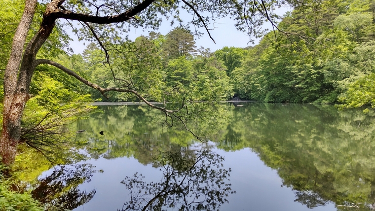 【素泊まり】ふくしまの自然満喫♪裏磐梯にリーズナブルに泊まって絶景スポットを巡ろう！