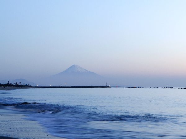 ブランド和牛の静岡牛＆海の幸■子生まれ温泉ご招待券付き！