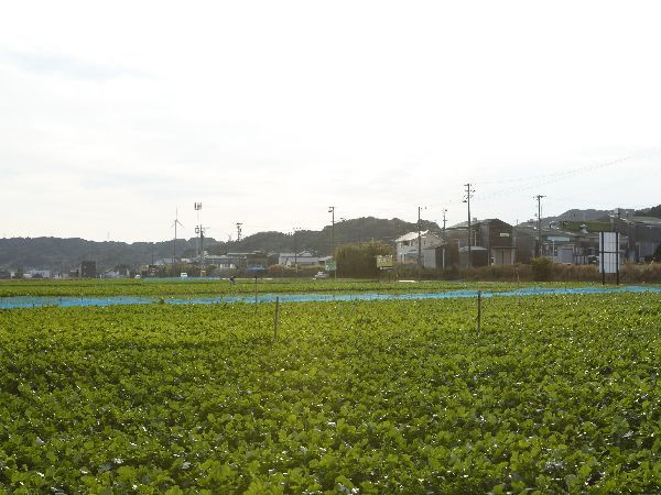 【朝食は新名物！まきのはら茶漬け】食通の方是非ご賞味あれ！駿河湾・遠州灘の海の幸♪