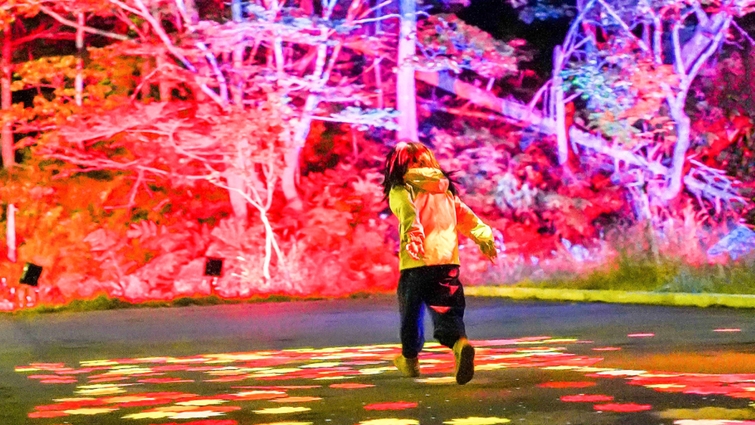 【秋の層雲峡を満喫】奇跡のイルミネート＆テントで焚き火コラボプラン〜夕食時に飲み放題つき（073）