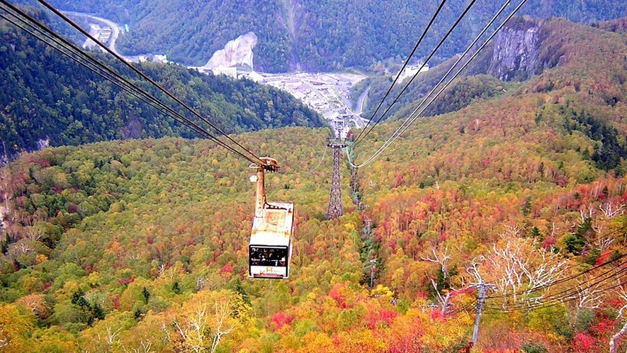 【黒岳ロープウェイ】日本一早い紅葉を一望！