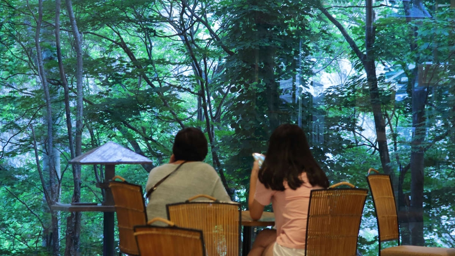 【喫茶　木もれ日】大きな窓の向こうに緑豊かな自然が広がる安らぎの空間