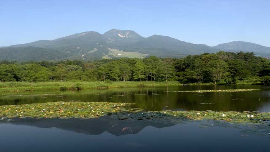 妙高山夏