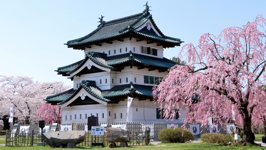 ＜＜春爛漫★桜旅＞＞東北屈指の桜の名所「弘前城」は車で60分♪ご夕食は人気の小町コース♪