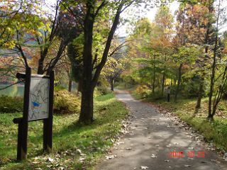 鴫の谷地沼　２