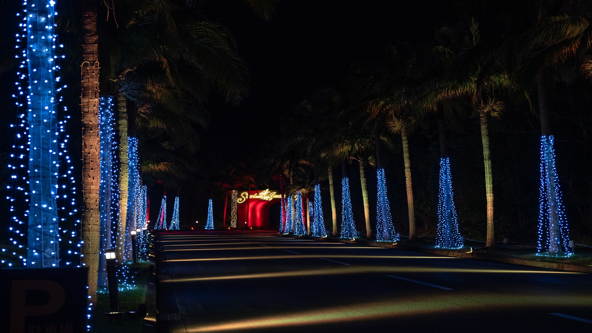 【スターダストファンタジア2025-2026】