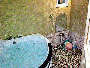 貸し切りジェットバス