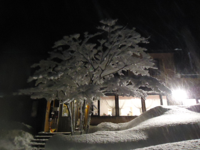 雪のハーティ