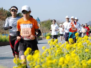 早春の平砂浦フラワーライン・若潮マラソン