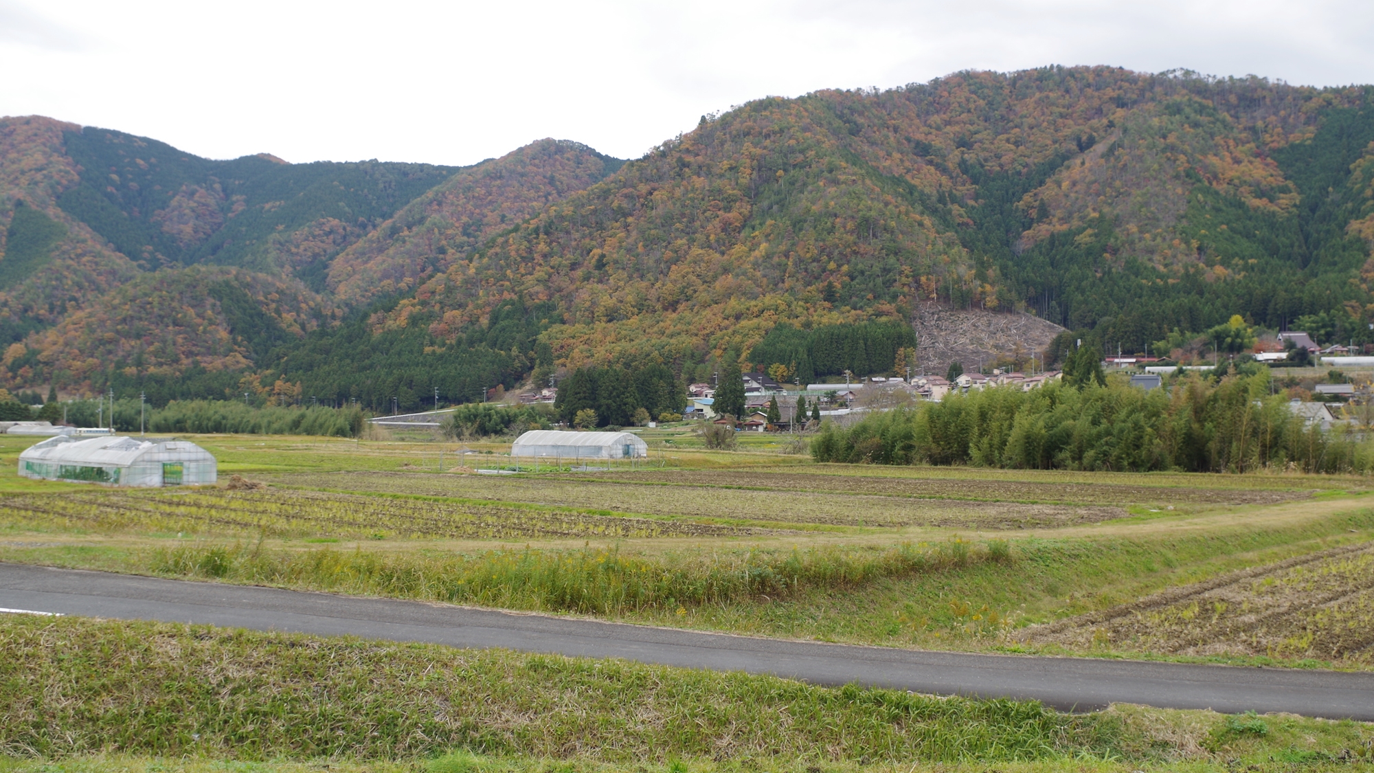 *当館の目の前には美山の素朴な自然が広がります＾＾