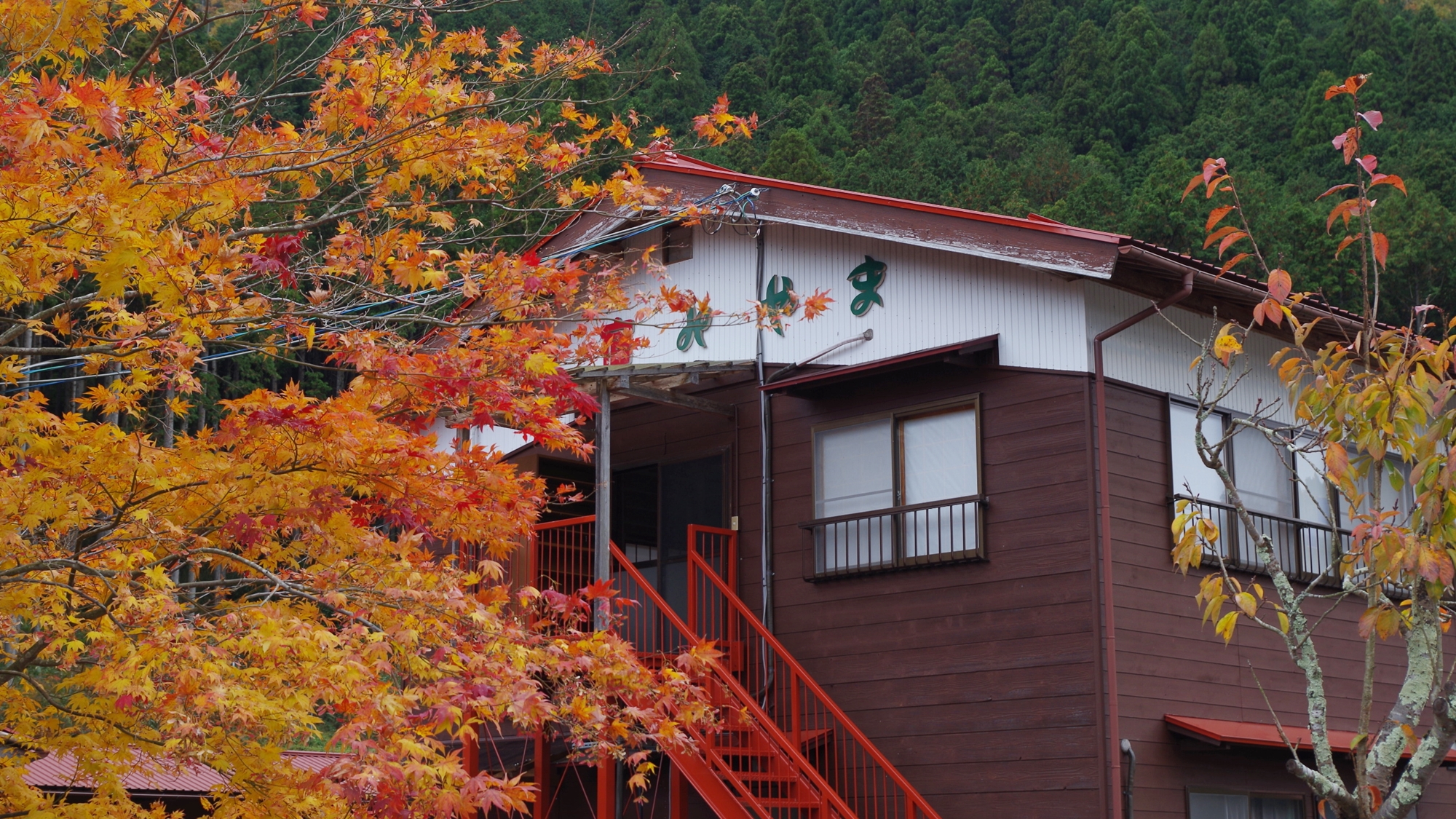 *当館周辺は紅葉スポットいっぱい♪赤や黄色…燃えるように山々が彩られます…★