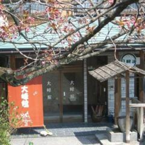 ■八重桜玄関