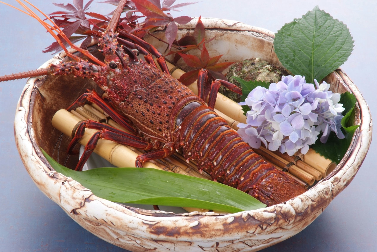 【期間限定】☆天草伊勢海老☆伊勢海老＆天草海鮮付宿泊プラン