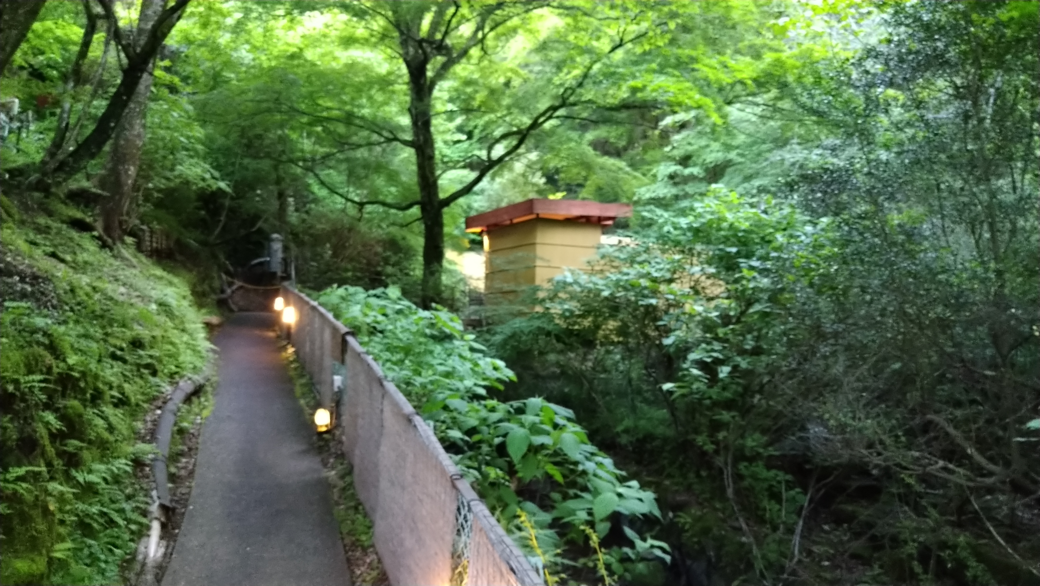 自然豊かな露天風呂へ続く遊歩道