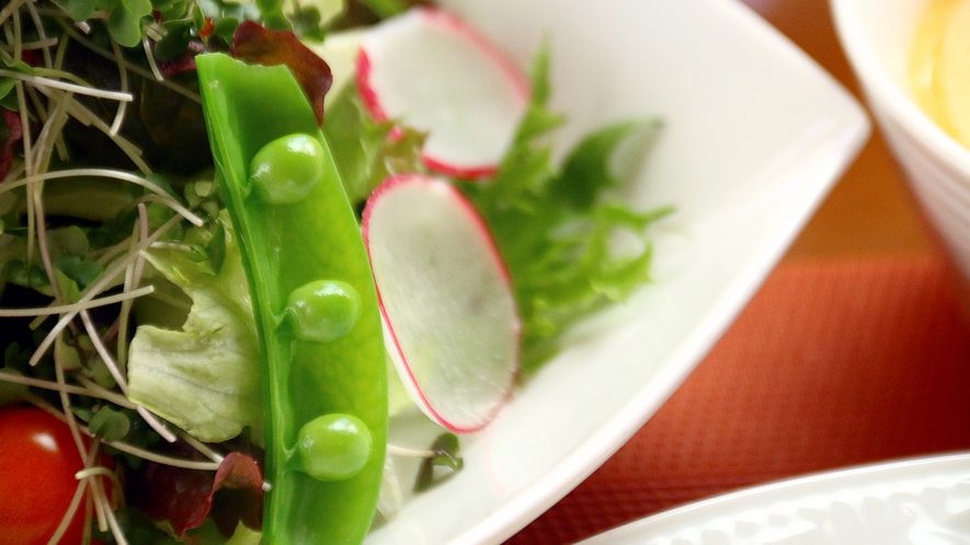 【朝食】イメージ 高原野菜サラダ