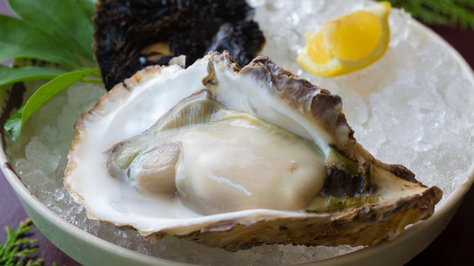 【追加料理】岩牡蠣（夏季）　※イメージ