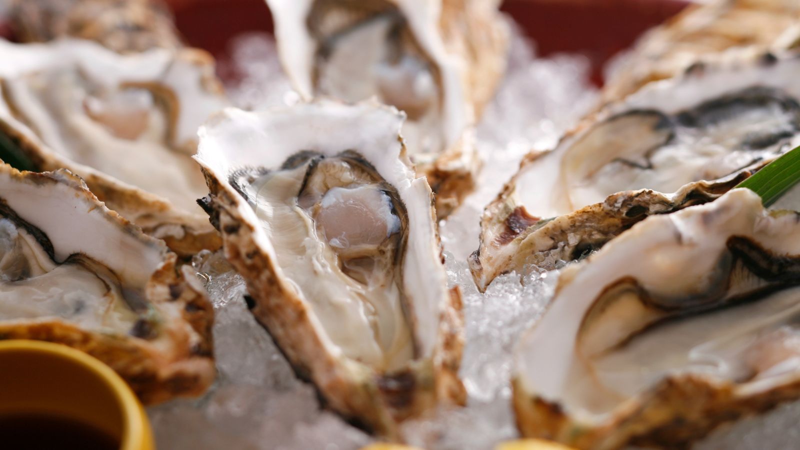 【追加料理】牡蠣（冬季）　※イメージ