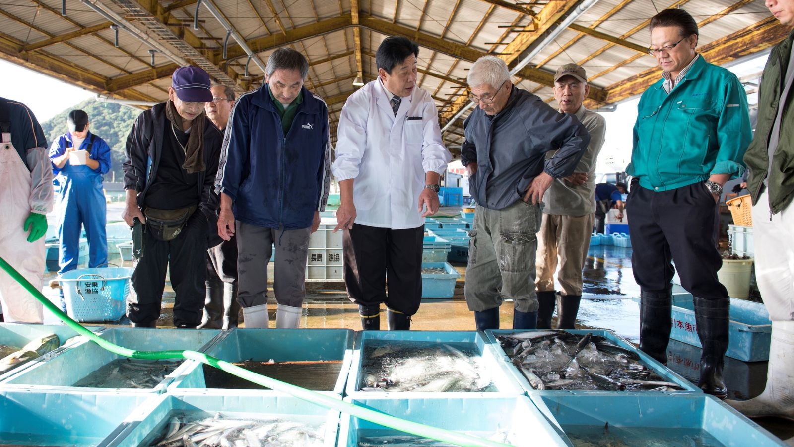 紀伊長島港に仕入れに行く中西総料理長