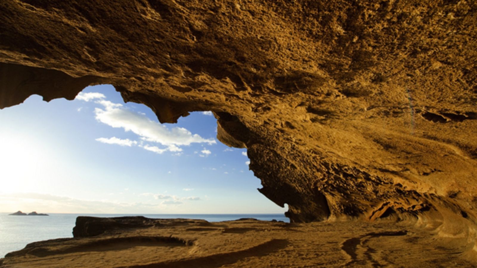世界遺産【鬼ヶ城】　※ホテル季の座からお車で約55分