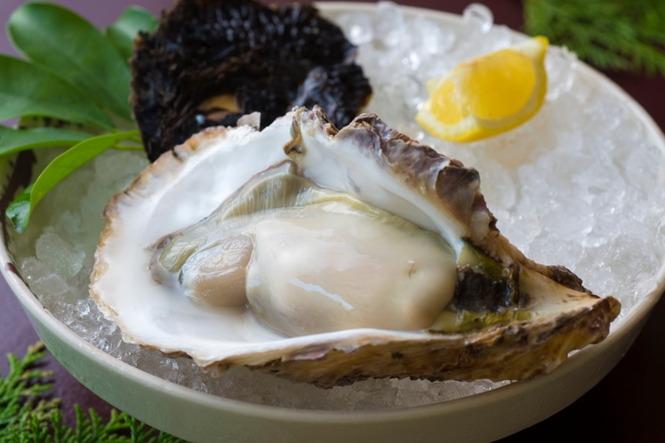 【追加料理】岩牡蠣（夏季）　※イメージ