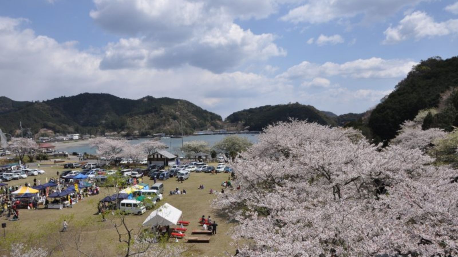 始神さくら広場【さくらまつり】（春季）　※ホテル季の座からお車で約20分