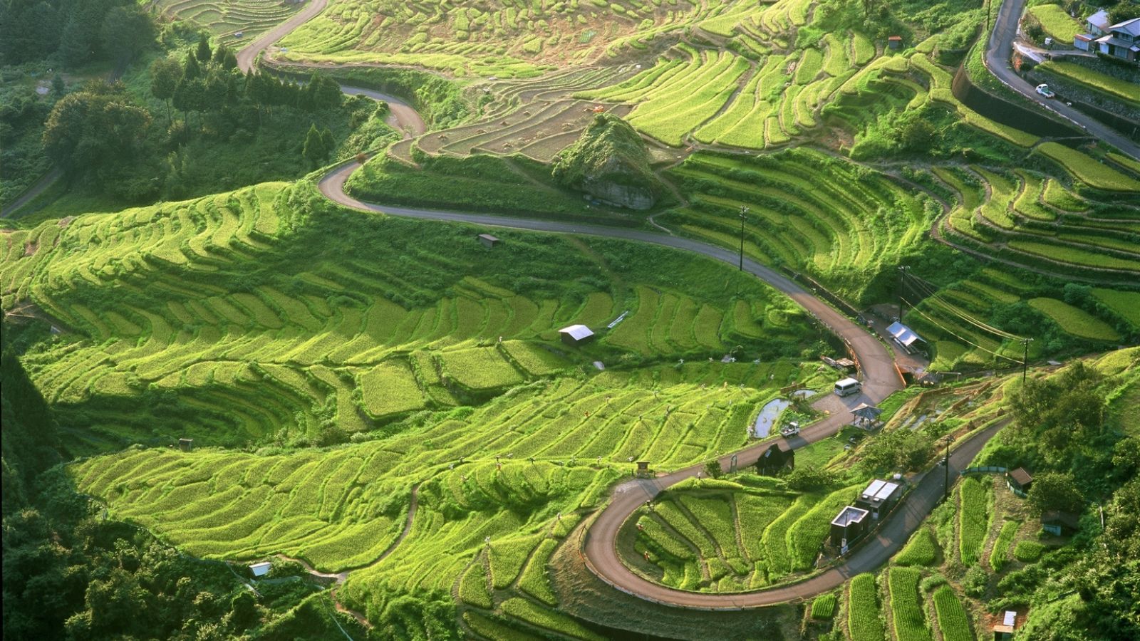 丸山千枚田（夏季）　※ホテル季の座からお車で約1時間25分