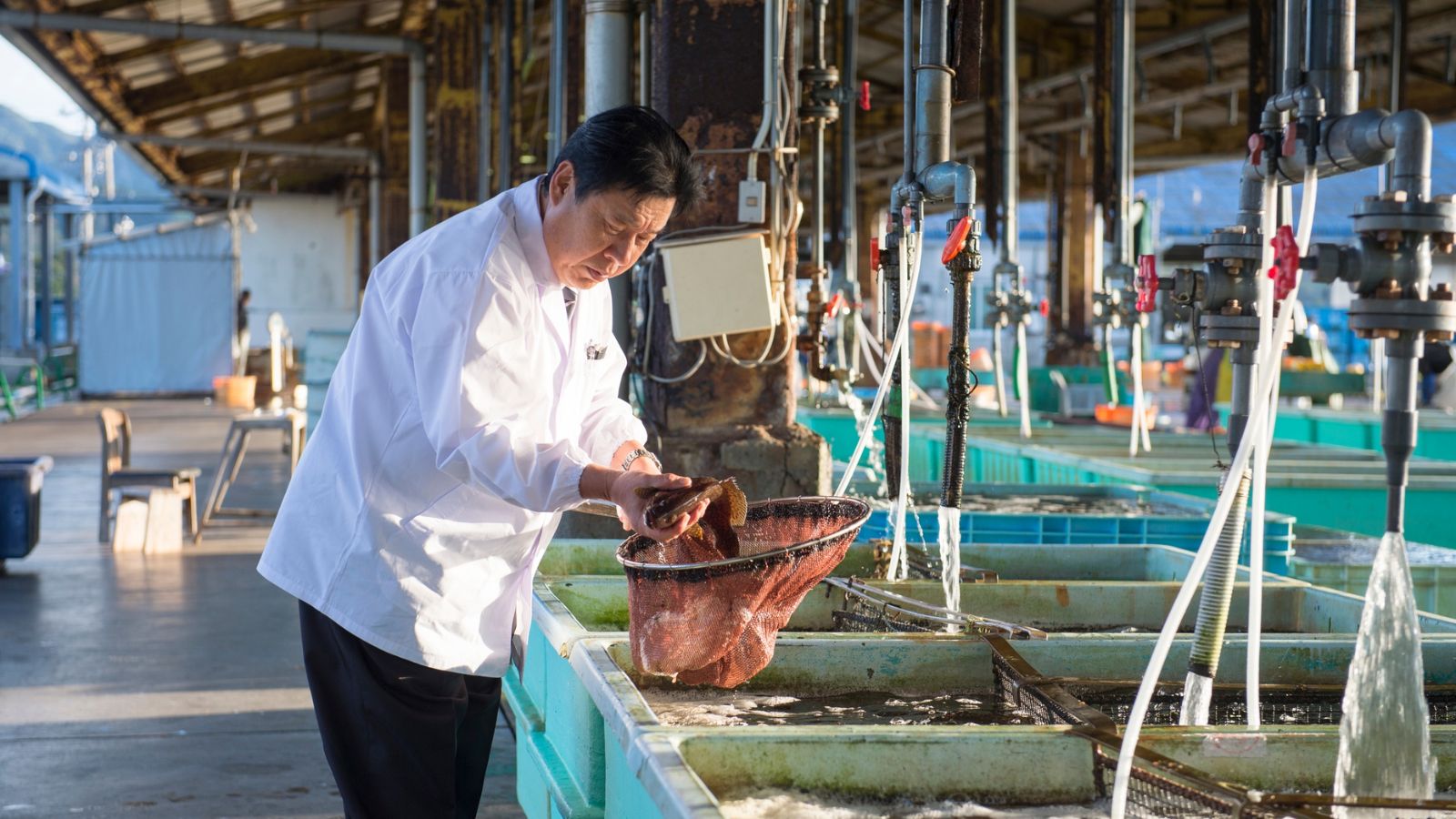 紀伊長島港に仕入れに行く中西総料理長