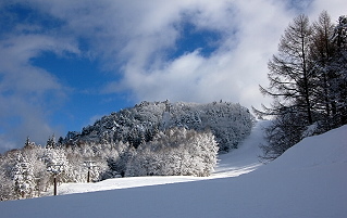 パウダースノウ