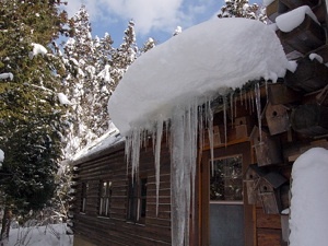 氷柱と鳥のおうち