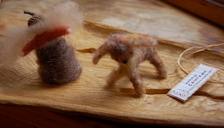 どんぐりっことわん