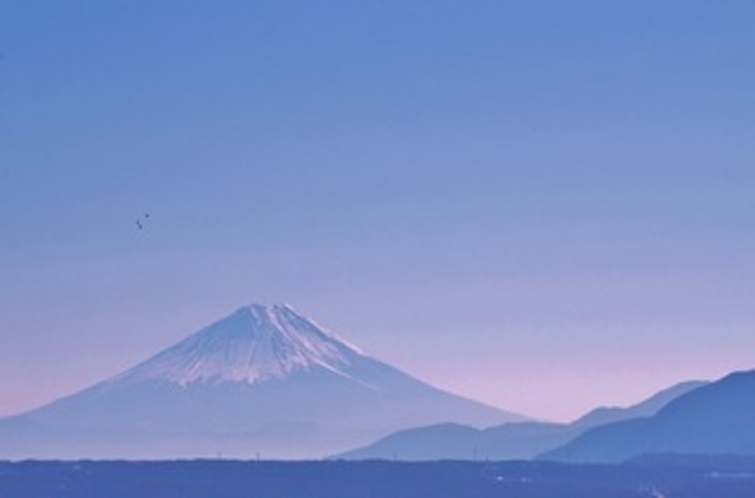 永明寺山公園から富士山を望んで