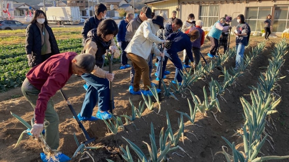 【体験特典！】本場下仁田ねぎ収穫体験チケット付きプラン／夕朝バイキング〈飲み放題〉