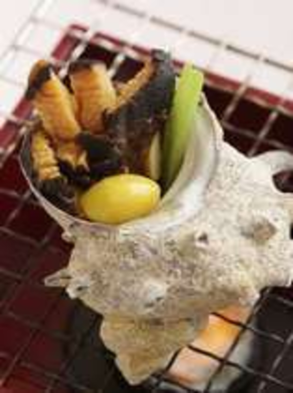 千倉海底温泉 海辺の温泉料理宿 ホテル千倉 設備 アメニティ 基本情報 楽天トラベル