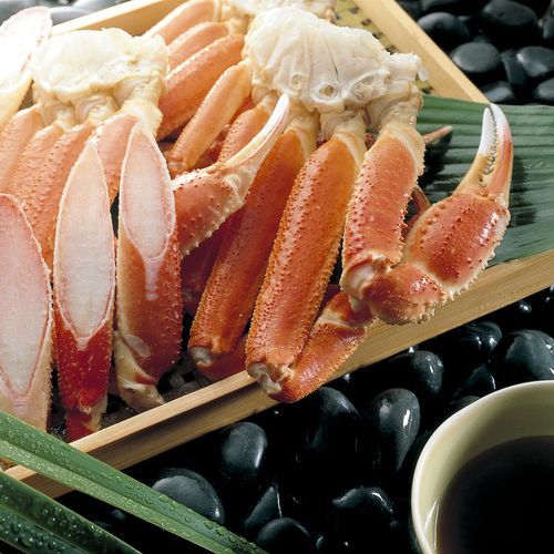 旭川旭岳温泉　湯元　湧駒荘 - 写真 218