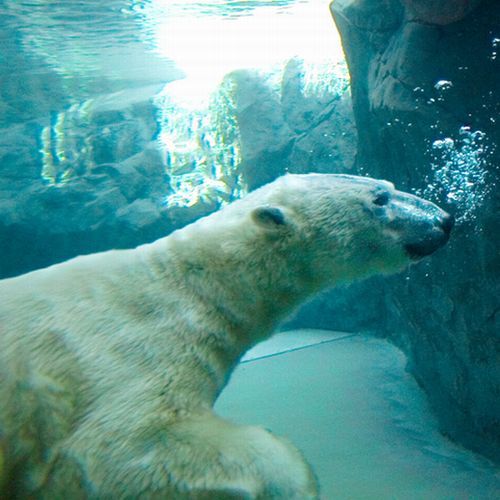 旭川旭岳温泉　湯元　湧駒荘 - 写真 245
