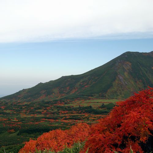 旭川旭岳温泉　湯元　湧駒荘 - 写真 233