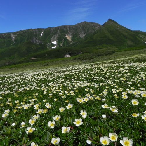 旭川旭岳温泉　湯元　湧駒荘 - 写真 261