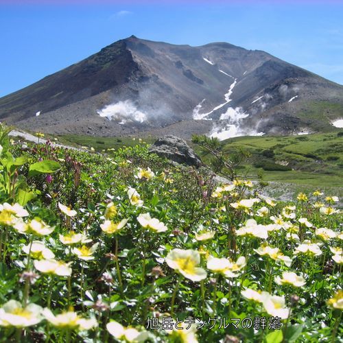 旭川旭岳温泉　湯元　湧駒荘 - 写真 260