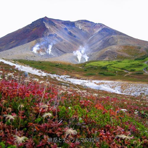 旭川旭岳温泉　湯元　湧駒荘 - 写真 259