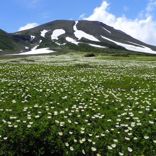旭川旭岳温泉　湯元　湧駒荘 - 写真 262