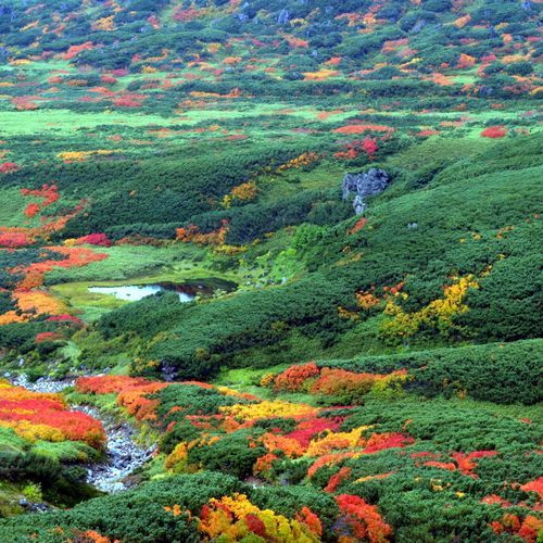 旭川旭岳温泉　湯元　湧駒荘 - 写真 234